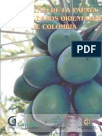 Cultivo de la papaya.pdf