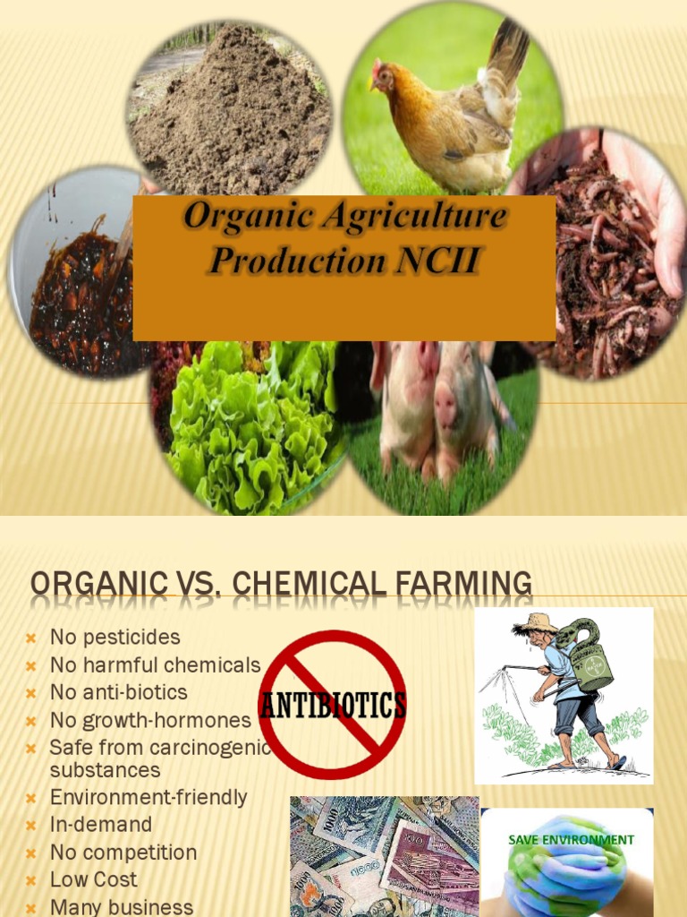 I Concoctions, Fertilizers, Chickens, Hog PDF PDF