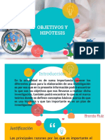 Objetivos y Hipotesis PDF