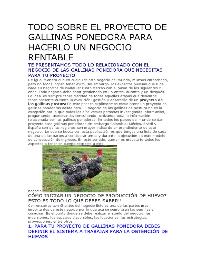 TODO SOBRE EL PROYECTO DE GALLINAS PONEDORA PARA HACERLO UN NEGOCIO