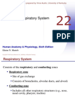 Chapter 22 - Respiratory