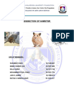 Hamster Dissection Report 22