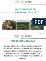 Karina Medina Casas Mejores Practicas en Iniciativas de Certificacion PDF