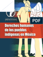 14_Cartilla_DH_Pueblos_Indigenas.pdf