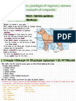 Enfermería Veterinaria PDF