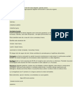 Document (11).docx