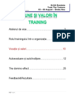 Draft suport de training - Viziune si valori in training - Alin Hildan-Macavei