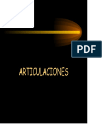 02bases Anatómicas Articulaciones PDF