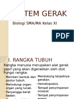 Sistem Gerak Manusia