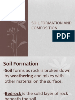 SOIL FORMATION and