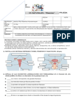 LA CÉLULA FORMATO.doc