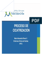 Proceso de Cicatrización