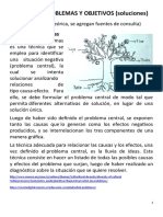 Árbol de Problemas y Objetivos