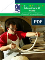 Best Practices Booklet Romanian