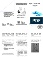 261786099-Leaflet-Pijat-Oksitosin