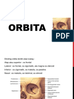 Anatomi ORBITA