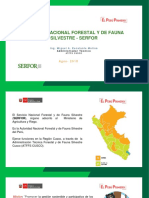 Servicios Serfor PDF