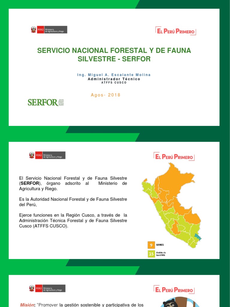 Funciones del SERFOR en Cusco | PDF | Tecnología