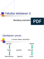 Overview Anatomi Dr. Bambang