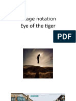 Eye of The Tiger