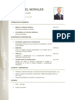 modelo 2 elaborar-curriculum-vitae-523-pdf