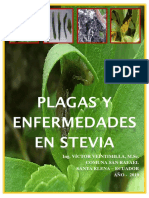 Plagas y Enfermedades en Stevia - Rebaudiana