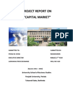 Project Report On Capital Market