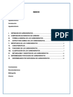 325301347-CARBOHIDRATOS-MONOGRAFIA