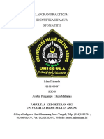 Cover & Daftar Isi (Irfan) 2