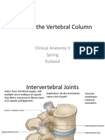 2020 Lecture 3 Joints of The Vertebral Column