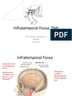2020 Lecture 8 Infratemporal Fossa and TMJ