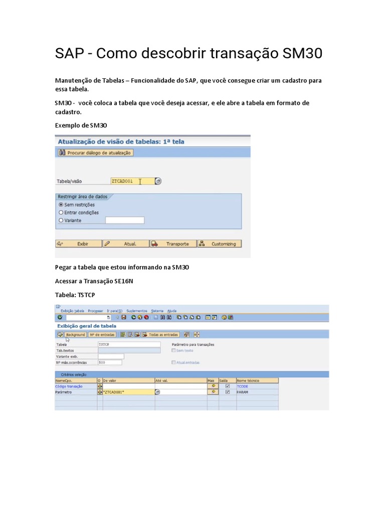 Acesso à Transação SM30 no SAP | PDF | Finanças e Administração de ...