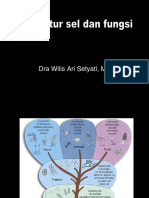 Presentation FISIOLOGI MIKROBIA-STRUKTUR Dan FUNGSI SEL..IND