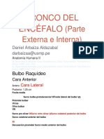 Clase 15.1 4ta Teoría de Neuroanatomía. Tronco Cerebral.