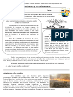 sistematizacion  unidad CIENCIAS.doc