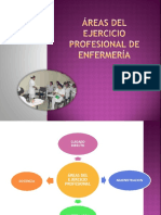 Áreas Del Ejercicio Profesional de Enfermería