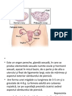 Presentation 3