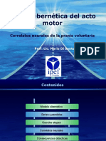 Neurocibernética del acto motor