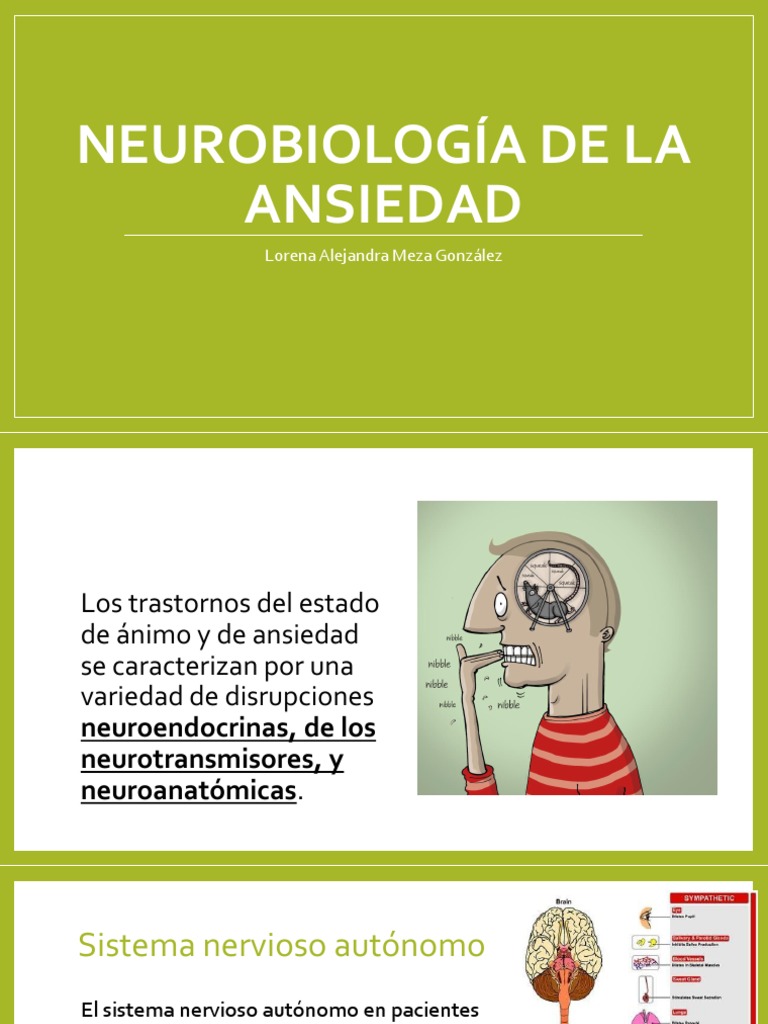 Neurobiología de la Ansiedad y Neurotransmisores | PDF | Salud y bienestar