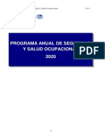 PROGRAMA ANUAL DE SSO- AYA IMPORT SA 2020 1
