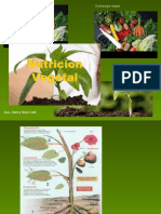 Nutricion_mineral_2019_AGRONOMIA.ppt