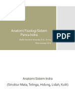 Anatomi Sistem Panca Indra