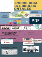 Neuropsicologia de Los Lobulos Frontales