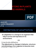 Animalandplantadaptation 131030113427 Phpapp02