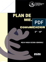 Plan de Mejora-2020