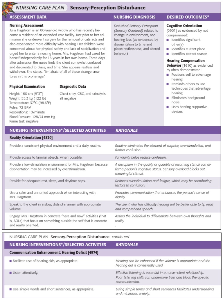 NURSING CARE PLAN SensoryPerception Disturbance Hearing Loss Attention