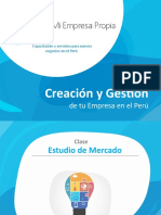MEP EstudiodeMercado Presentacion