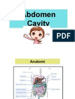 TRD Abdomen Cavity