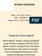 Biostratigrafi Indonesia 2