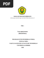 Download laporan Spektrum Hidrogen by Yoga Agung Koesoema SN45042860 doc pdf